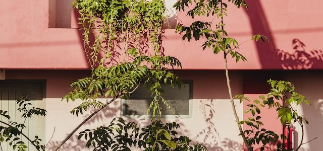 6 Creative Exterior House Painting Ideas